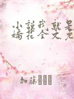小说我就是如此娇花全文免费阅读