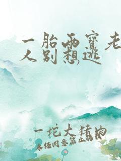 一胎两宝老婆大人别想逃