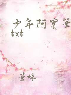少年阿宾笔趣阁txt