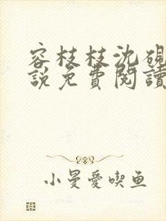 容枝枝沈砚书小说免费阅读无弹窗