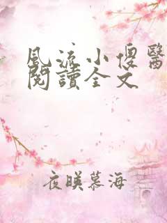 风流小傻医阅读阅读全文