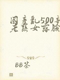 国产乱500部老熟女露脸