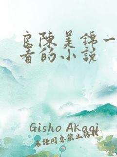 良陈美锦一样好看的小说