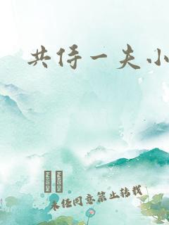 共侍一夫小说