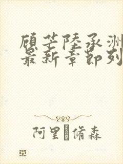 顾芒陆承洲小说最新章节列表免费