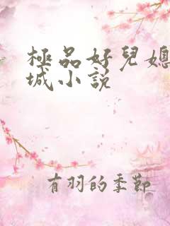 极品好儿媳赵春城小说