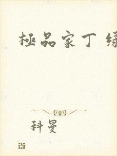 极品家丁 绿帽