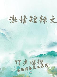 激情短辣文