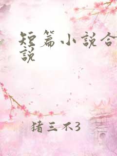 短篇小说合集小说