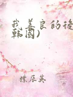 我善良的后妈(韩国)