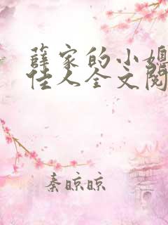 薛家的小媳妇笑佳人全文阅读