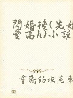 闪婚后(先婚后爱高h)小说