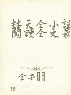 林天全小说免费阅读全文最新章节