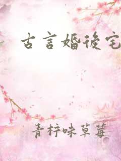 古言婚后宅斗文