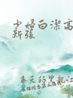 少妇白洁高义最新张