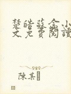 楚皓苏念小说全文免费阅读