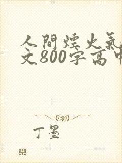 人间烟火气的作文800字高中