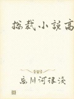 总裁小说高干文