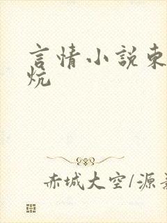 言情小说东北大炕