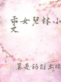 乖女儿林小喜全文