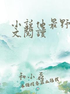 小说他最野了全文阅读