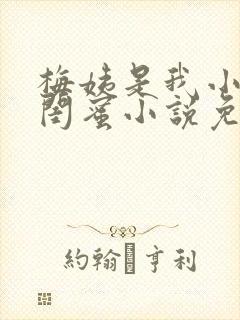 梅姨是我小妈的闺蜜小说免费阅读全文