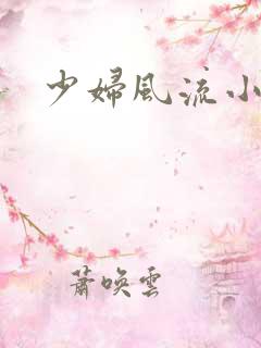 少妇风流小说