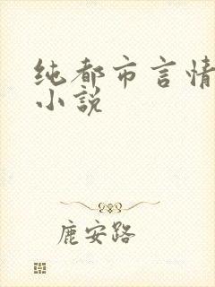纯都市言情类的小说