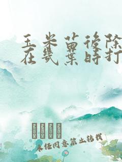 玉米苗后除草剂在几叶时打