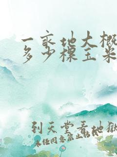 一亩地大概能种多少棵玉米