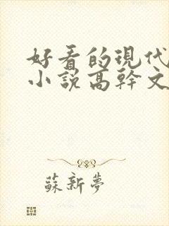 好看的现代言情小说高干文