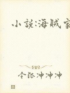 小说:海贼家族