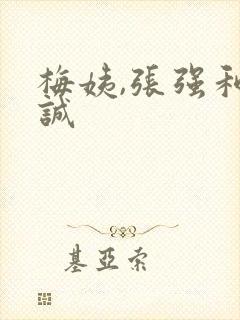 梅姨,张强和小诚