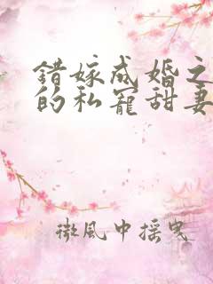 错嫁成婚之总裁的私宠甜妻完整版