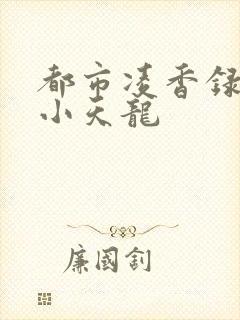 都市凌香录全本小天龙