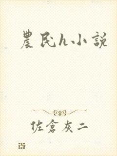 农民h小说