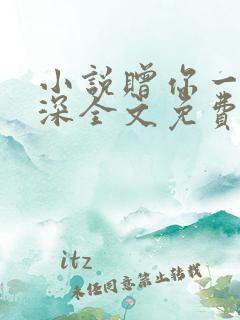 小说赠你一世情深全文免费阅读
