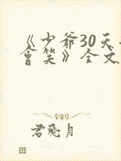 《少爷30天后会笑》全文免费阅读