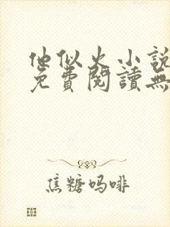 他似火小说全文免费阅读无弹窗