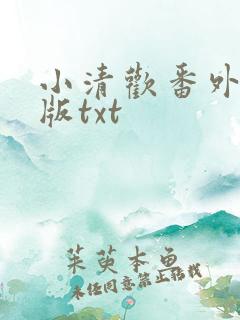 小清欢番外完整版txt