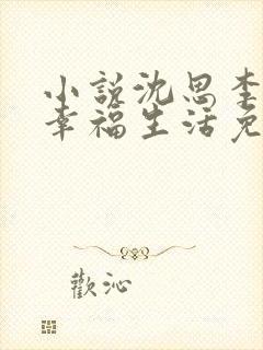 小说沈思李兵的幸福生活免费阅读