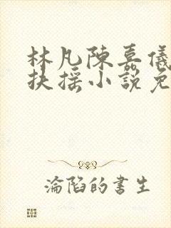 林凡陈嘉仪袖手扶摇小说免费阅读