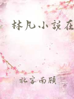 林凡小说在线看