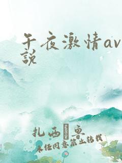 午夜激情av小说