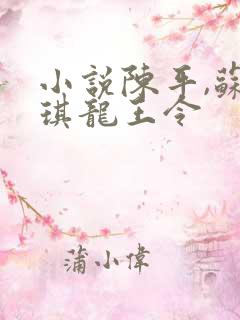 小说陈平,苏雨琪龙王令