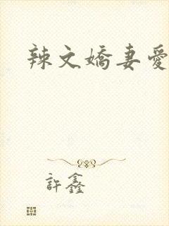 辣文娇妻爱女
