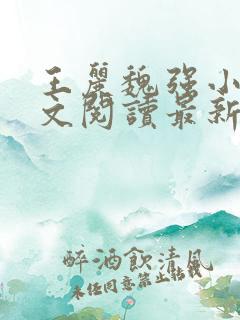 王丽魏强小说全文阅读最新章节