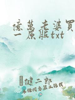 亿万老婆买一送一原版txt