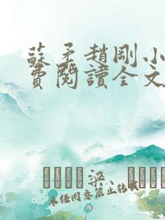 苏柔赵刚小说免费阅读全文