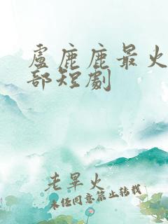 卢鹿鹿最火的十部短剧